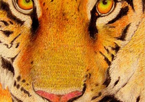 Original and Prints Available