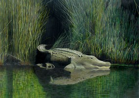Original and Prints Available